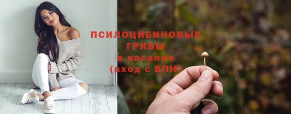 МДМА Арсеньев