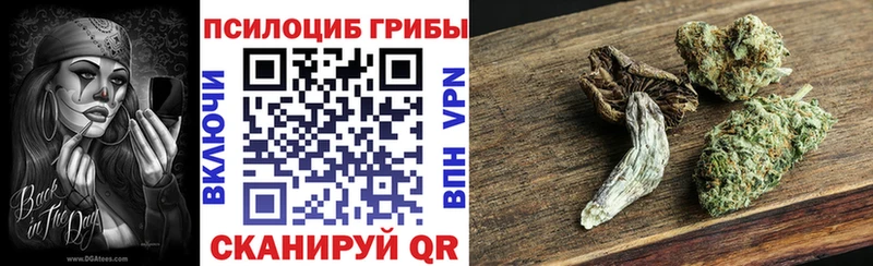 Галлюциногенные грибы мицелий  что такое наркотик  Таруса 